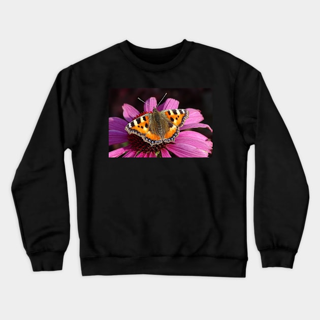 Small tortoiseshell butterfly – Aglais Urticae Crewneck Sweatshirt by AH64D